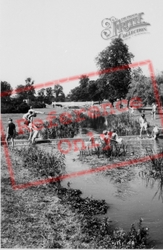 The River At Gadebridge Park c.1965, Hemel Hempstead