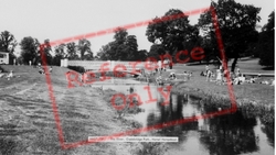 The River, Gadebridge Park c.1965, Hemel Hempstead