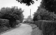 Lane To London Road c.1955, Henfield