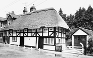 Pinchnose Green, The Cat House c.1965, Henfield