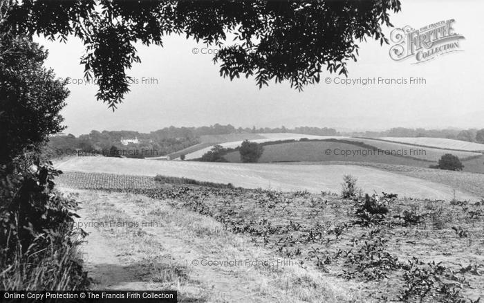 Photo of Henfield, View Of The Downs c.1955