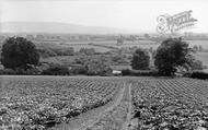 View Of The Downs c.1955, Henfield