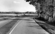 View Of The Downs  c.1960, Henfield