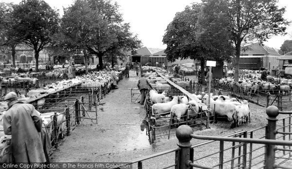 Photo of Hereford, The Livestock Market c.1965