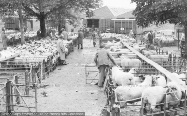 Photo of Hereford, The Livestock Market c.1965