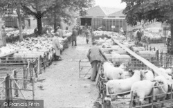 The Livestock Market c.1965, Hereford