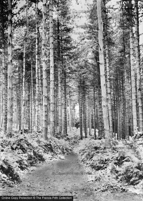 Photo of Hermitage, the Aisles c1960