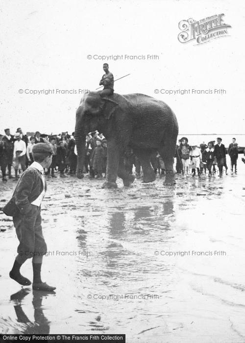 Photo of Herne Bay, Elephant On The Beach 1899