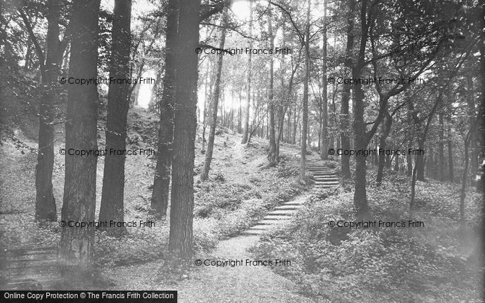 Photo of Hertford, In The Warren 1933