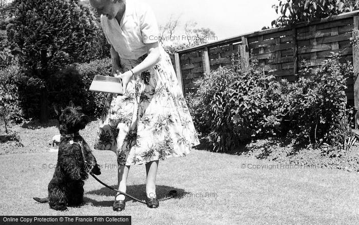 Photo of Hest Bank, The Dog's Dinner Time c.1956
