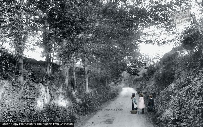 Photo of Hever, Chippens Bank Road 1906