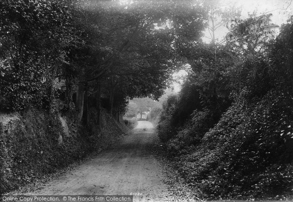 Photo of Hever, Chipping's Lane 1908