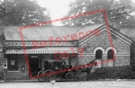 Horse And Carriage At Railway Station 1908, Hever