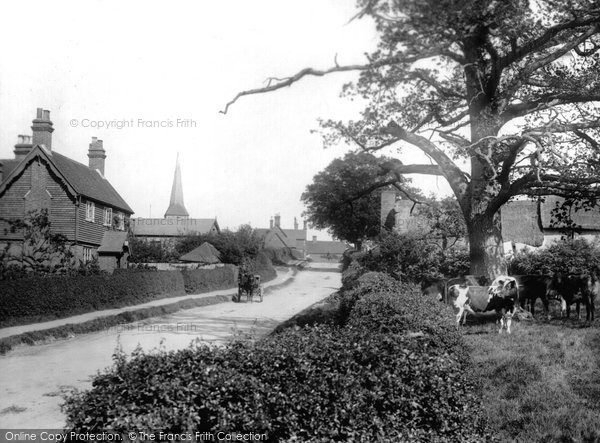 Photo of Hever, The Village 1906