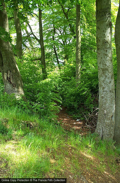 Photo of High Wycombe, Desborough Castle, The Outer Ditch 2005
