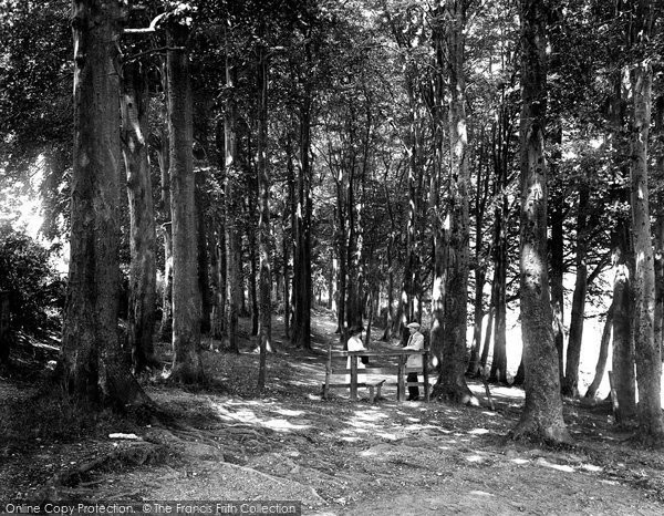 Photo of High Wycombe, The Beeches 1921