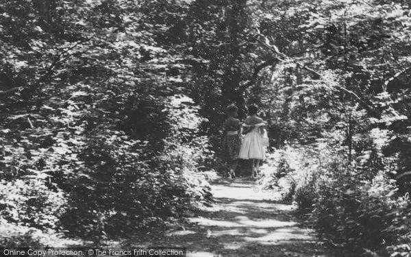 Photo of Highcliffe, Chewton Bunny Glen c.1960