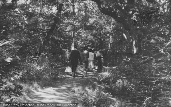 Photo of Highcliffe, Chewton Bunny Glen c.1960
