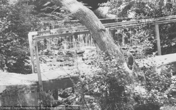 Photo of Highcliffe, The Waterfall, Chewton Bunny Glen c.1960