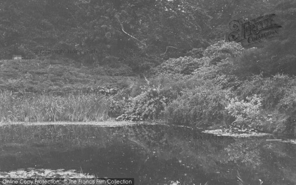 Photo of Higher Walton, Walton Hall Gardens c.1960