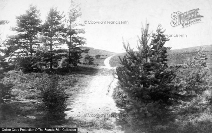 Photo of Hindhead, A Moorland Pathway 1909