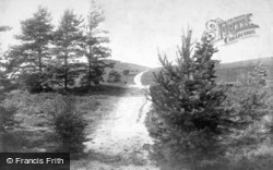 A Moorland Pathway 1909, Hindhead