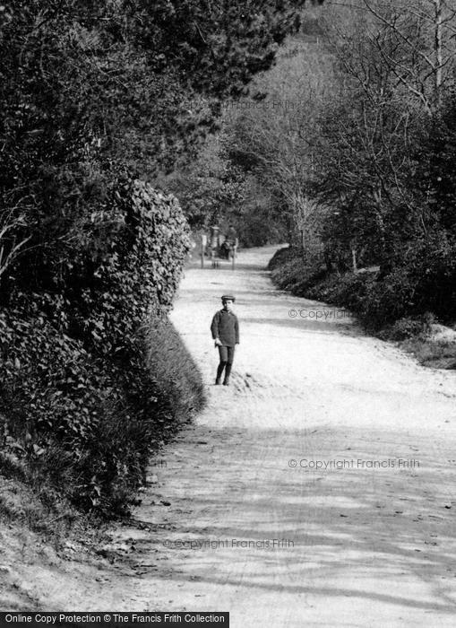 Photo of Hindhead, Boy In Polecat Lane 1911