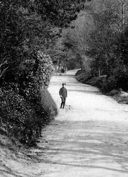 Boy In Polecat Lane 1911, Hindhead