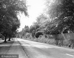 Churt Road c.1955, Hindhead