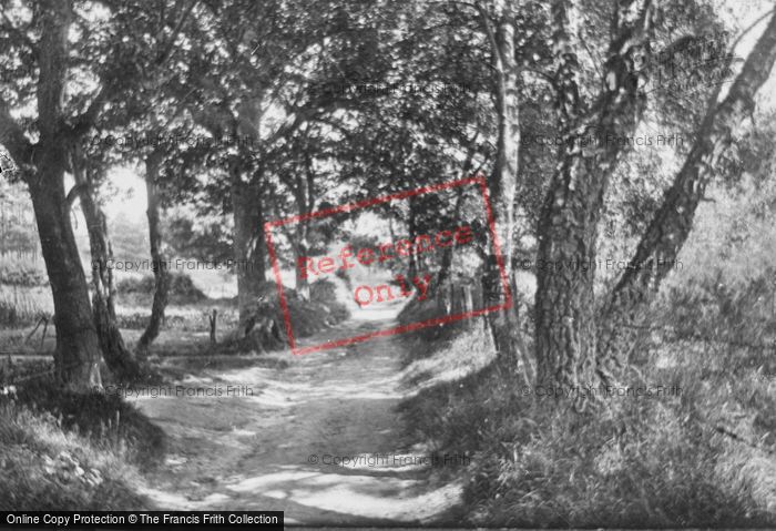 Photo of Hindhead, Down, The Lane 1924