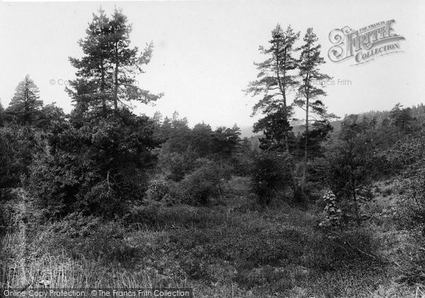 Photo of Hindhead, Golden Valley 1927
