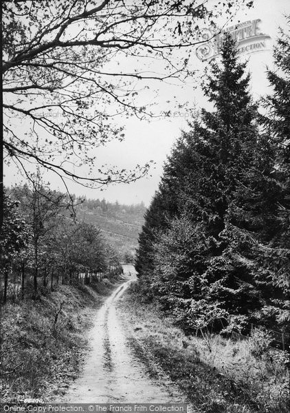 Photo of Hindhead, In Nutcombe Valley 1914