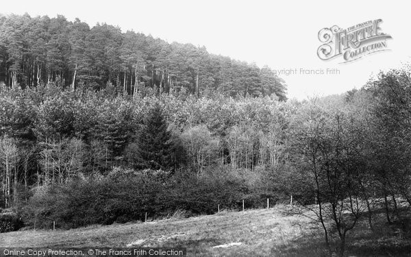Photo of Hindhead, Kingswood Firs 1911