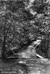 Nutcombe Vale, The Stream 1910, Hindhead
