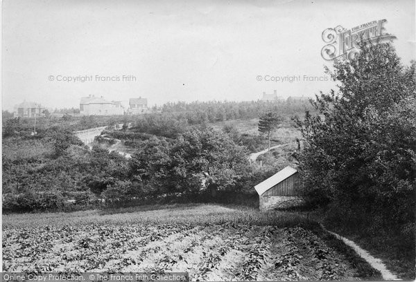 Photo of Hindhead, Nutcombe Valley 1899