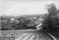 Nutcombe Valley 1899, Hindhead