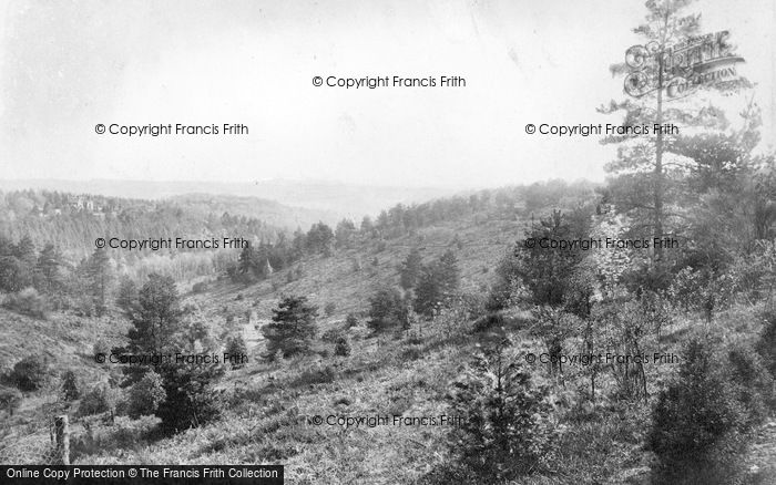 Photo of Hindhead, Nutcombe Valley 1908