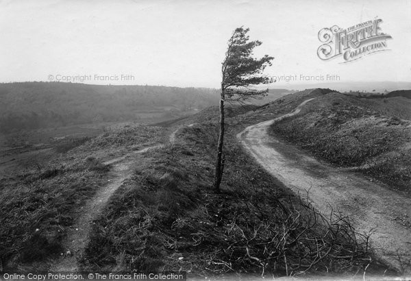 Photo of Hindhead, Old Farnham Road 1924