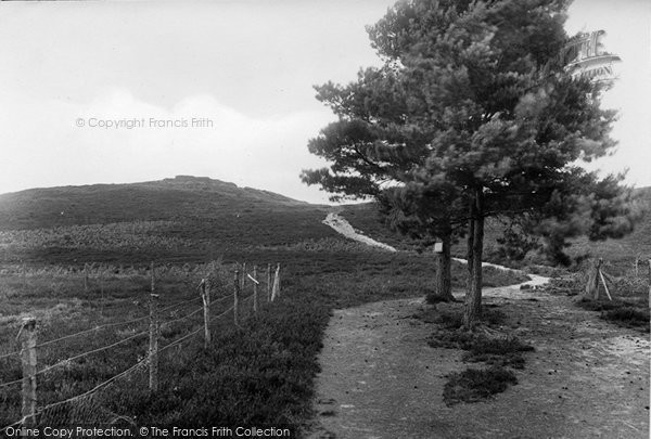 Photo of Hindhead, Path To The Devil's Jumps 1928