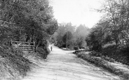 Polecat Lane 1911, Hindhead