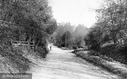 Polecat Lane 1911, Hindhead