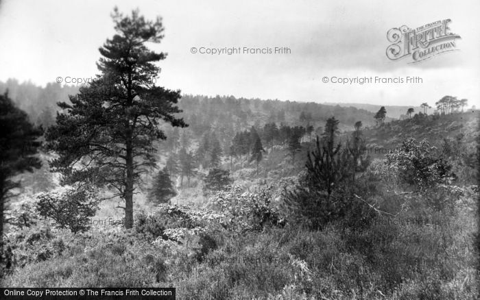 Photo of Hindhead, The Golden Valley 1928