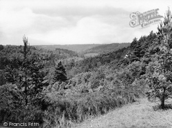 The Golden Valley 1928, Hindhead
