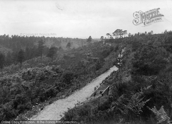Photo of Hindhead, The Golden Valley 1928