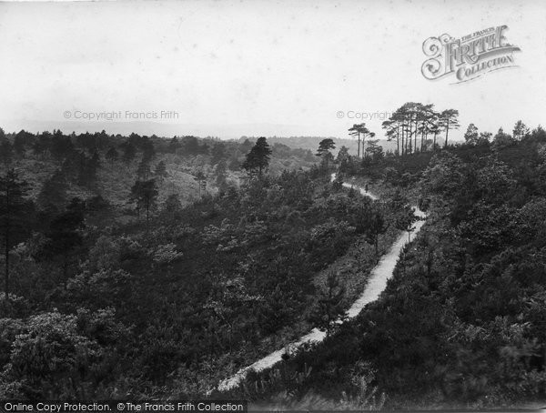 Photo of Hindhead, The Golden Valley 1928