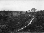 The Golden Valley 1928, Hindhead