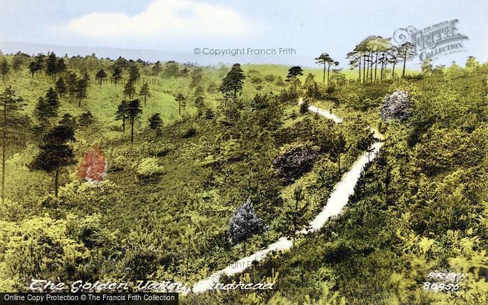 Photo of Hindhead, The Golden Valley 1928