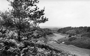 The Golf Links, 4th Green 1913, Hindhead