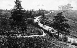 The Road To The Left Of The Punchbowl c.1935, Hindhead