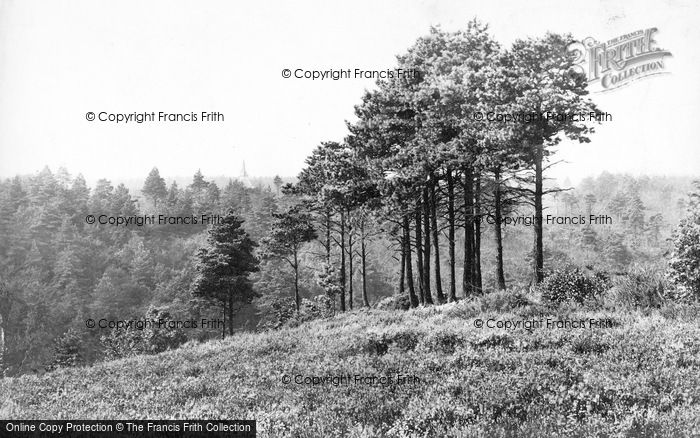 Photo of Hindhead, View From Bramshott Camp 1910